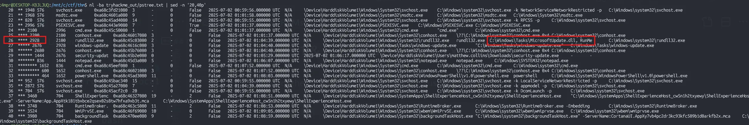 Process Tree Analysis